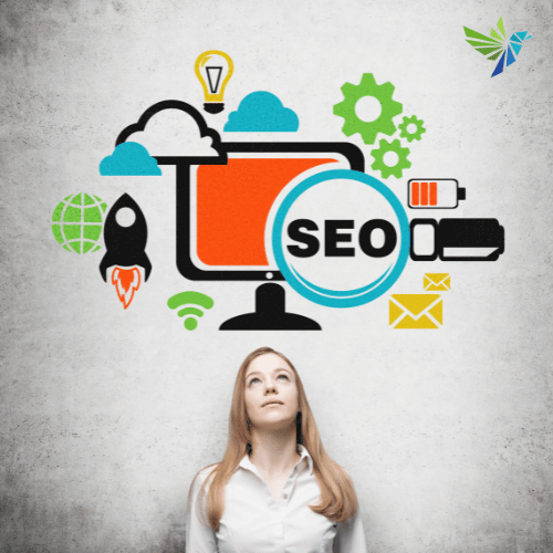 seo plan